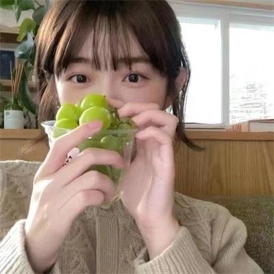 蚊子海岸第二季